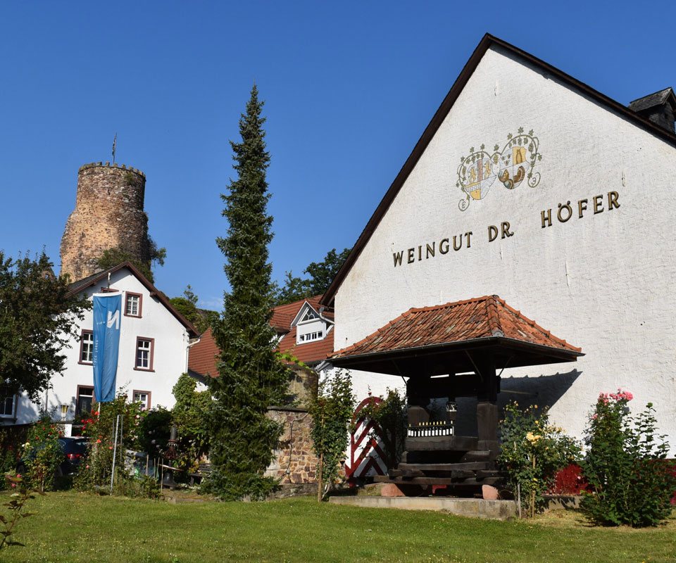 Weingut Schlossmühle Dr. Höfer mit Burgruine Burg Layen an der Nahe